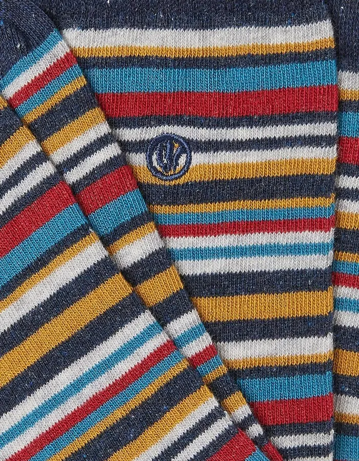 1 Pack Max Multi Stripe Socks Navy Men FatFace Socks and Underwear