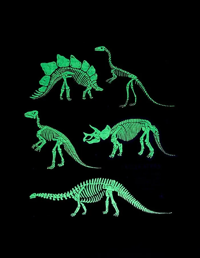 Dinosaur Graphic TShirt Navy Girls FatFace Tops and TShirts