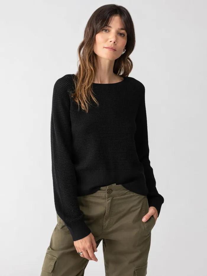 Everyday Openwork Sweater Black Women Sanctuary Clothing Sweaters and Cardis