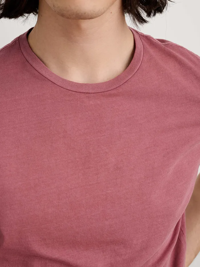 Men Alex Mill Tees Polos Lightweight Mercer Tee Currant