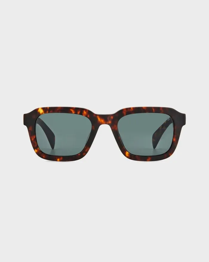 Men Sunglasses Rag 038 Bone Ace Havana
