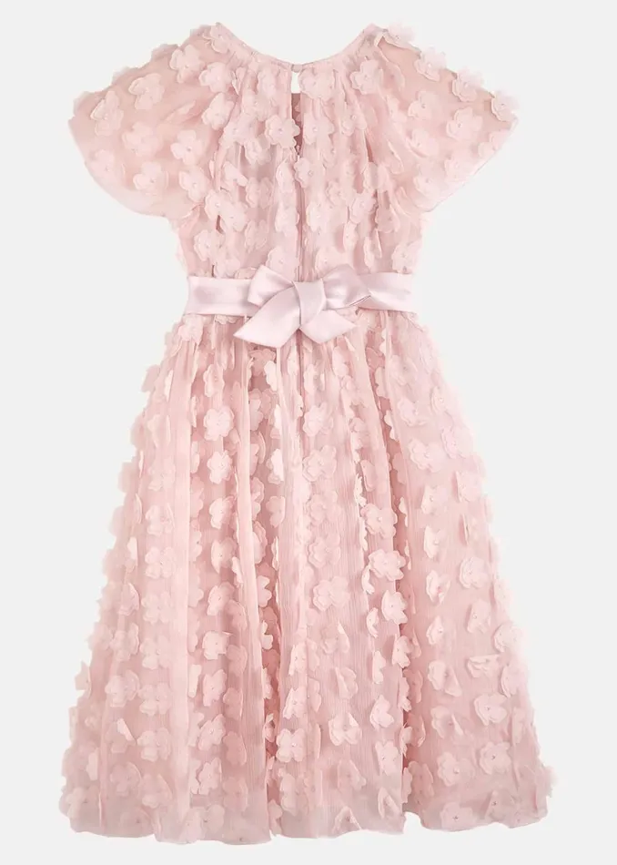 Online Girls Phase Eight Occasion Dresses Alice Flower Fit And Flare Dress Antique Rose