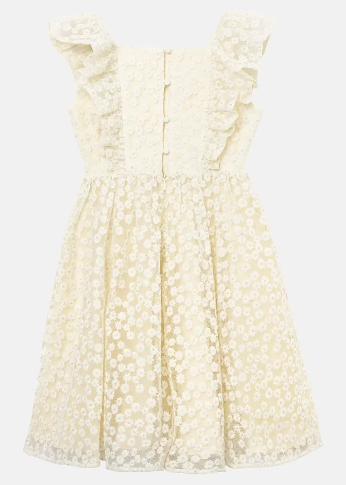 Online Girls Phase Eight Occasion Dresses Daisy Smock Dress Yellow