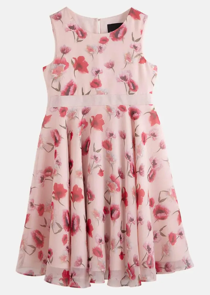 Online Girls Phase Eight Occasion Dresses Mirabel Floral Fit And Flare Dress Multicoloured