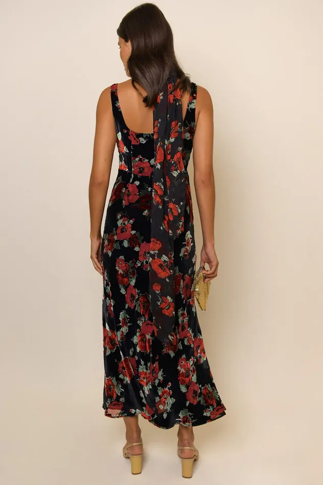 RIXO Dresses Benedict Black Poppy Burnout 8211 Women RIXO Dresses Benedict Black Poppy Burnout 8211 Women