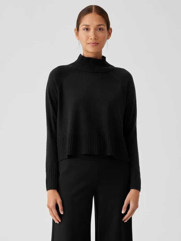 Shop Eileen Fisher Extended Sizing 1X3X Merino Jersey Turtleneck Top In Regenerative Wool Black