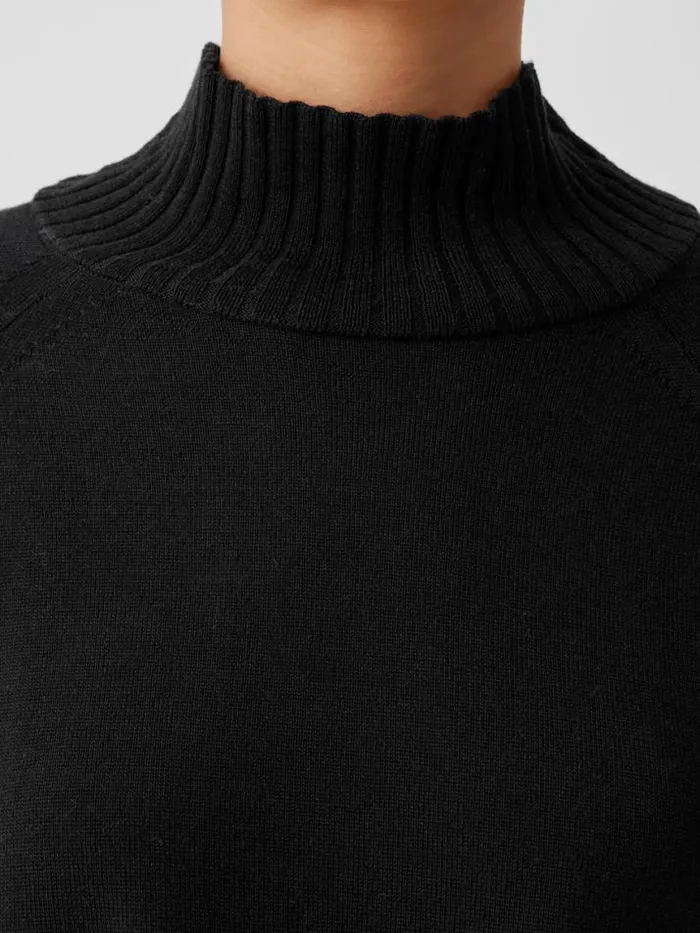 Shop Eileen Fisher Extended Sizing 1X3X Merino Jersey Turtleneck Top In Regenerative Wool Black