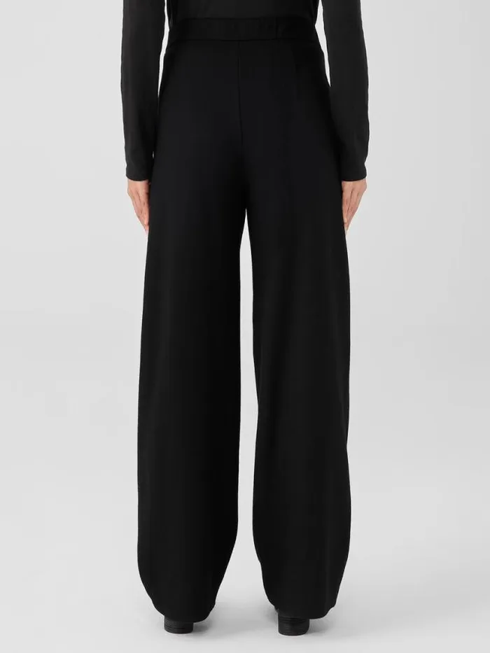Shop Eileen Fisher Pants Shorts and Jumpsuits Boiled Wool Jersey Pleated WideLeg Pant Black