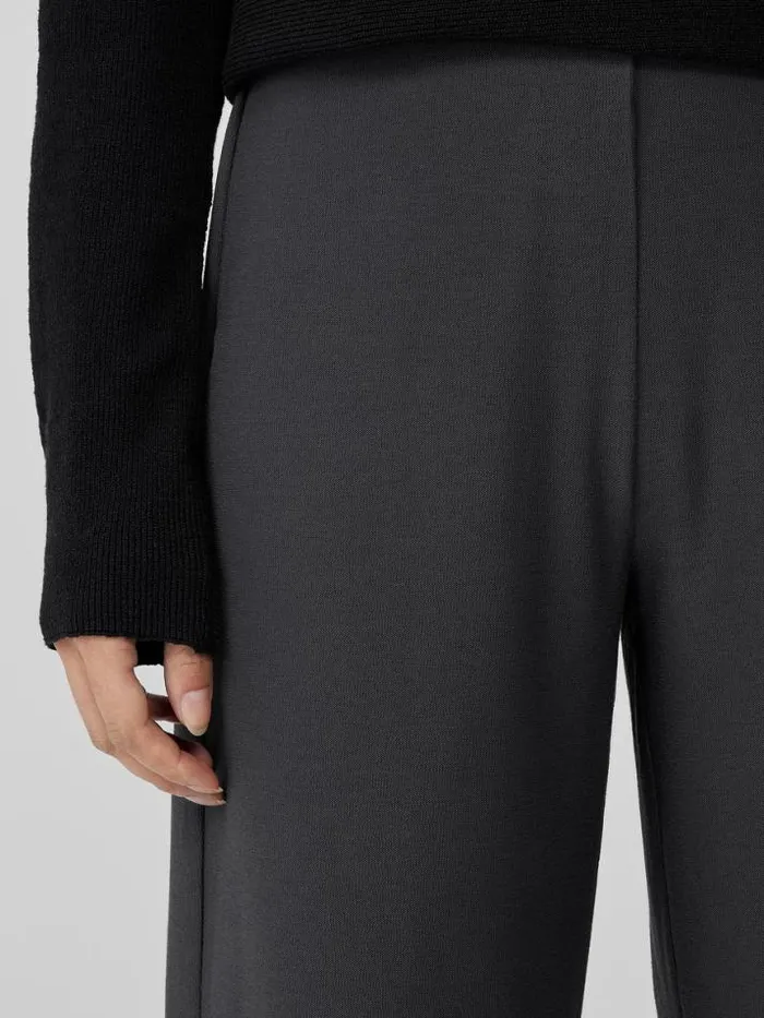 Shop Eileen Fisher Pants Shorts and Jumpsuits Washable Stretch Crepe WideLeg Pant Graphite