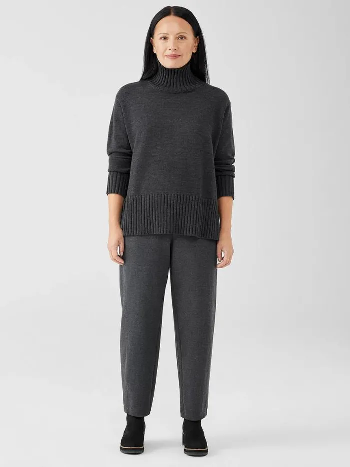 Shop Eileen Fisher Sweaters and Cardigans Merino Jersey Turtleneck In Regenerative Wool Charcoal