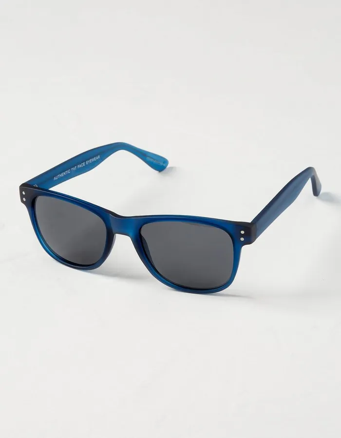 Theo Sunglasses Blue Men FatFace Sunglasses