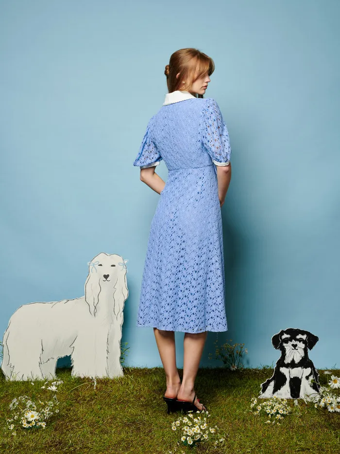 Women Bella Lace Midi Dress Cornflower Blue Sister Jane Dresses