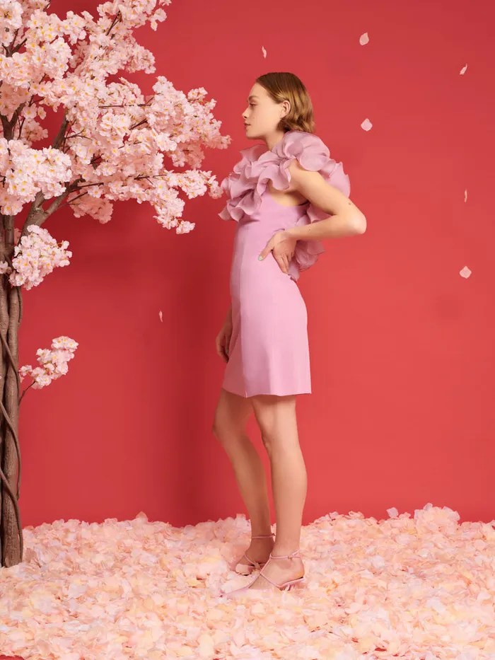 Women DREAM Blooming Ruffles Mini Dress Raspberry Pink Sister Jane Dresses