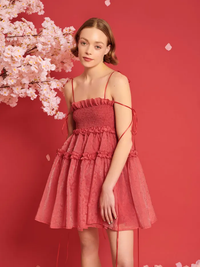 Women DREAM Calla Organza Mini Dress Cherry Red Sister Jane Dresses