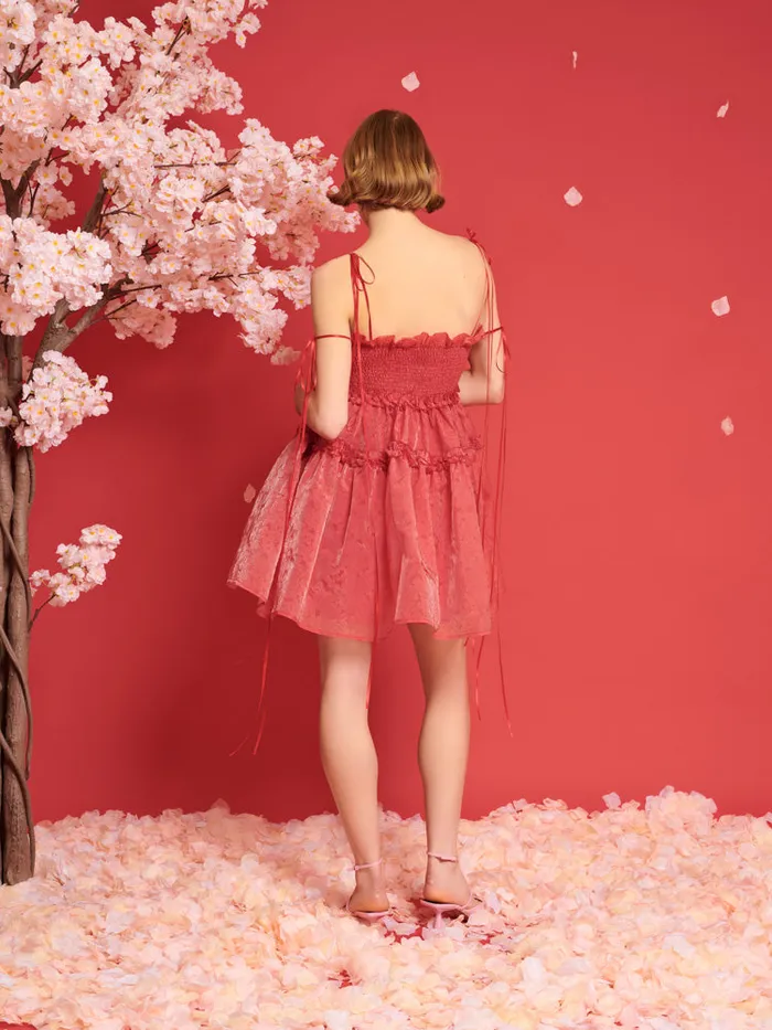 Women DREAM Calla Organza Mini Dress Cherry Red Sister Jane Dresses