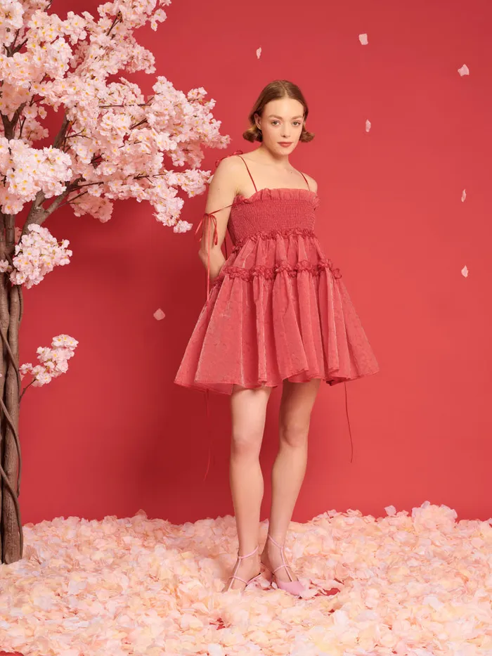 Women DREAM Calla Organza Mini Dress Cherry Red Sister Jane Dresses