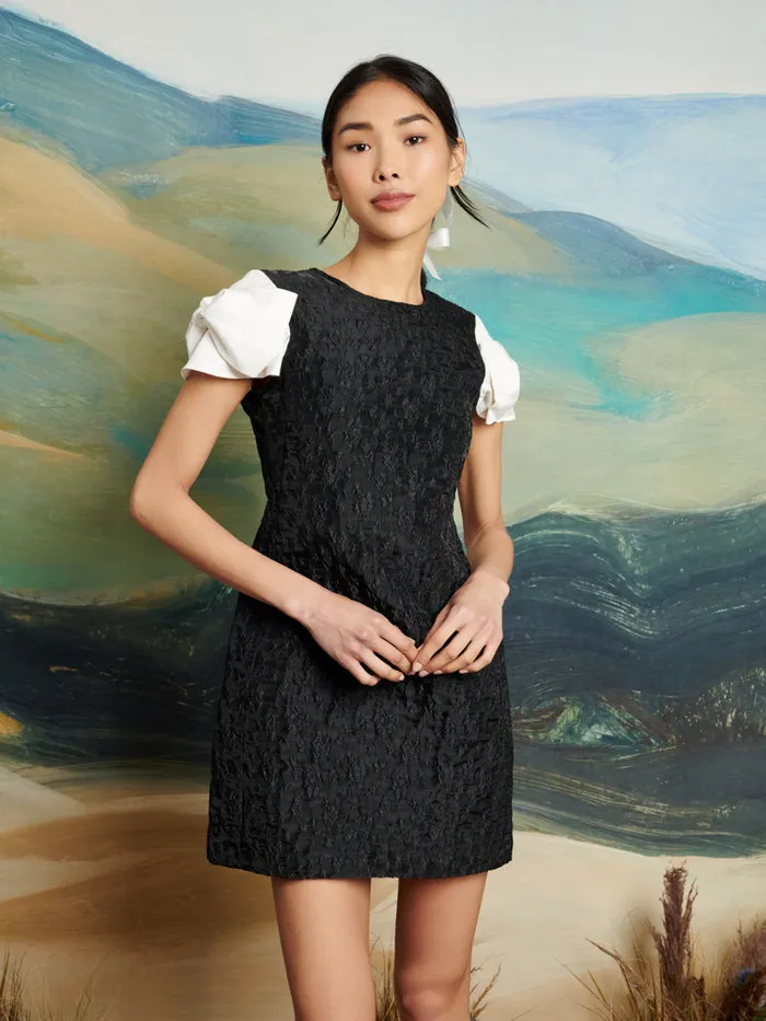 Women DREAM Paddock Jacquard Mini Dress Coal Black Sister Jane Dresses