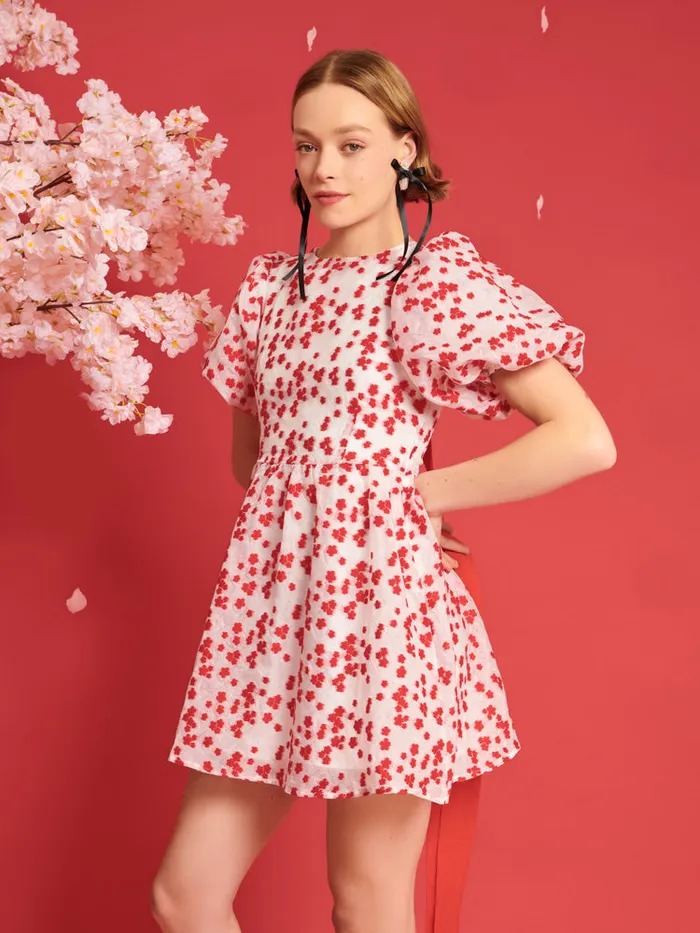 Women DREAM Sakura Jacquard Mini Dress White U0026 Red Sister Jane Dresses