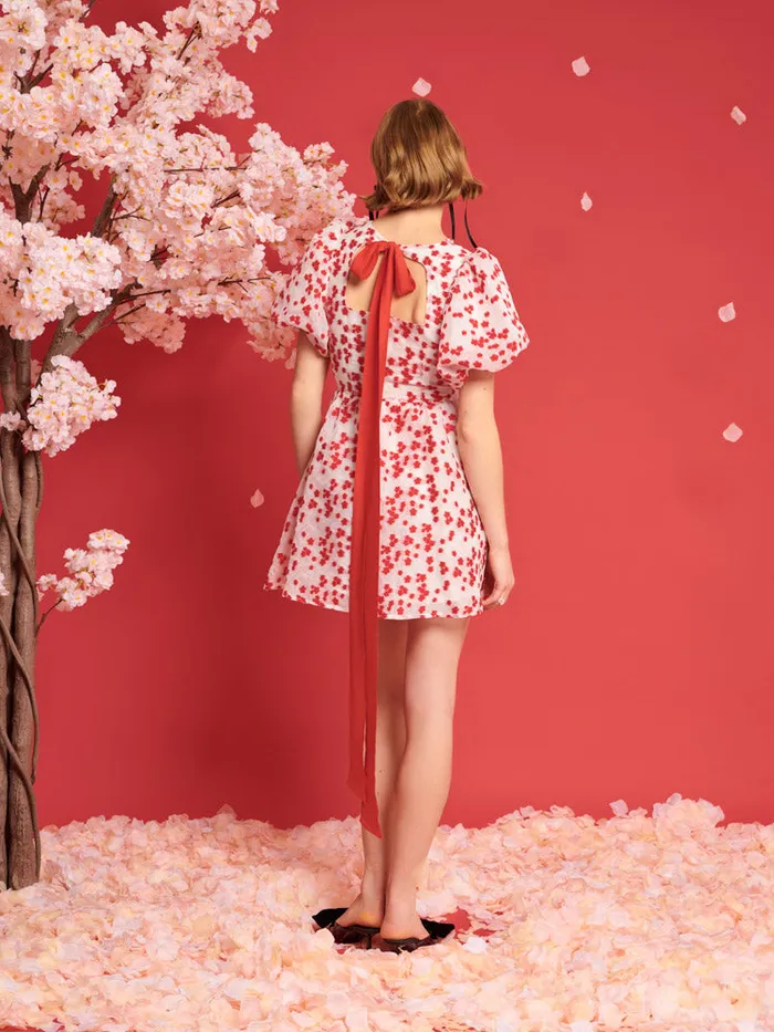 Women DREAM Sakura Jacquard Mini Dress White U0026 Red Sister Jane Dresses
