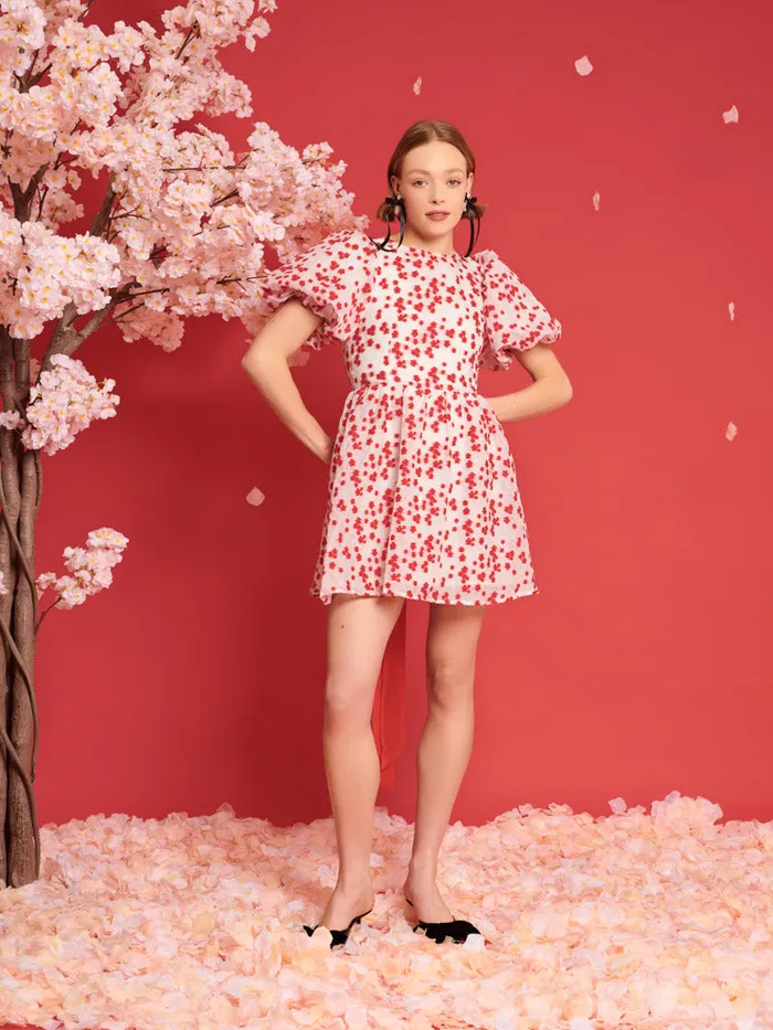 Women DREAM Sakura Jacquard Mini Dress White U0026 Red Sister Jane Dresses
