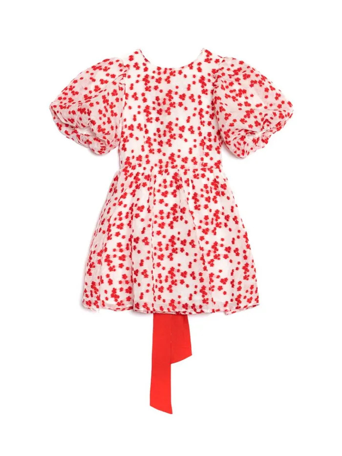 Women DREAM Sakura Jacquard Mini Dress White U0026 Red Sister Jane Dresses