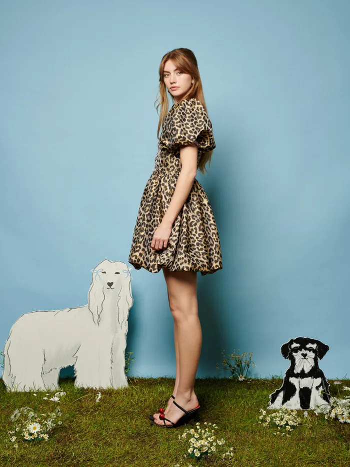 Women Lola Leopard Jacquard Dress Leopard Sister Jane Dresses