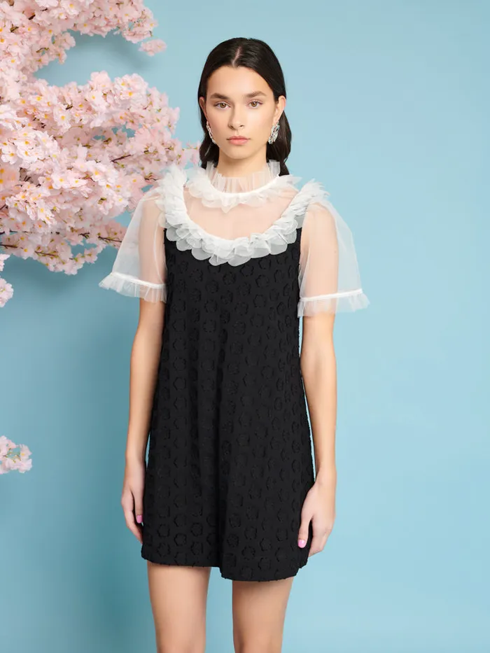 Women Mara Jacquard Mini Dress Coal Black Sister Jane Dresses
