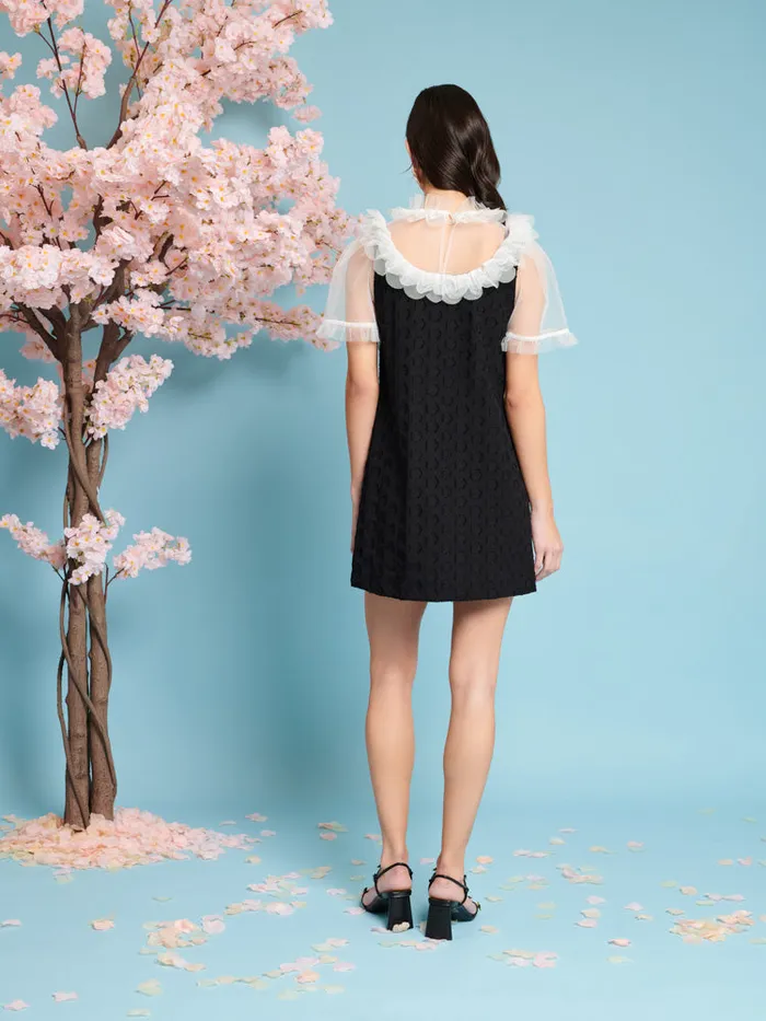 Women Mara Jacquard Mini Dress Coal Black Sister Jane Dresses