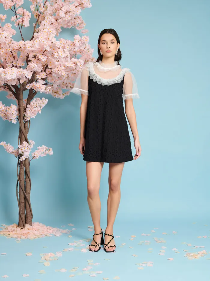 Women Mara Jacquard Mini Dress Coal Black Sister Jane Dresses