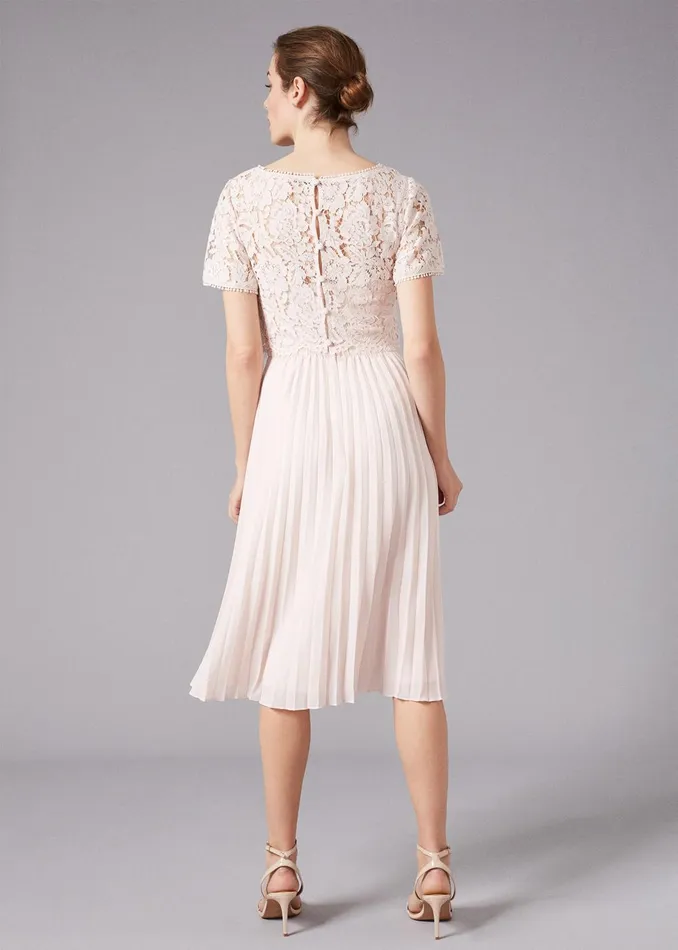Women Phase Eight Bridesmaid Dresses Bettina Lace Top Pleated Dress Cameo Pink