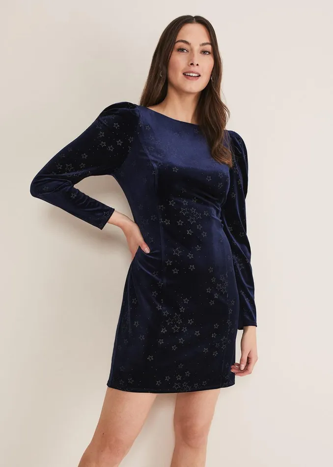 Women Phase Eight Day Dresses Daria Velvet Star Dress Midnightpewter