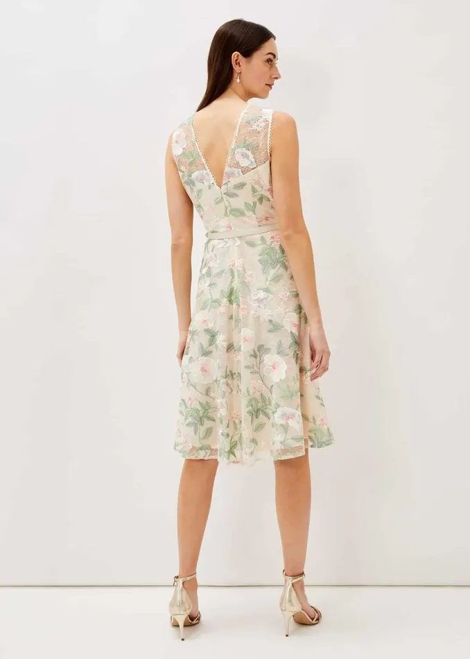 Women Phase Eight Occasion Dresses Aria Embroidered Lace Fit and Flare Dress Buttermilk