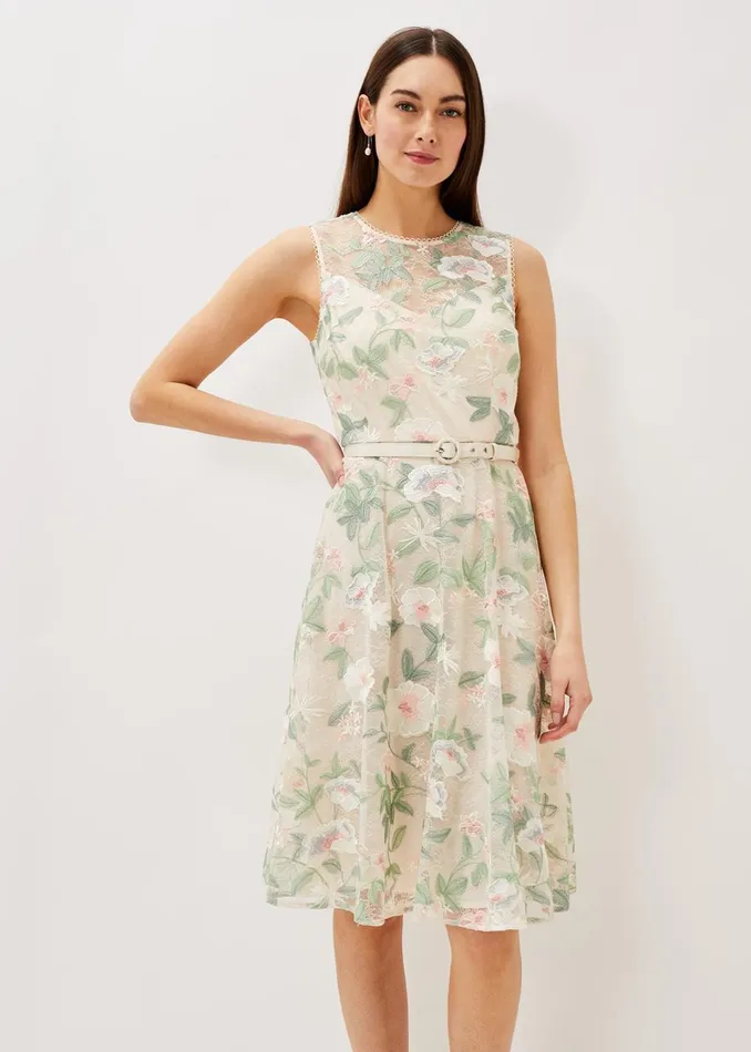 Women Phase Eight Occasion Dresses Aria Embroidered Lace Fit and Flare Dress Buttermilk