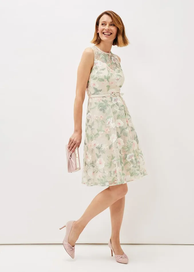 Women Phase Eight Occasion Dresses Aria Embroidered Lace Fit and Flare Dress Buttermilk