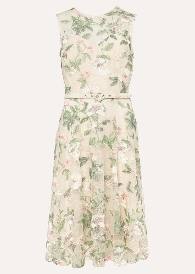 Women Phase Eight Occasion Dresses Aria Embroidered Lace Fit and Flare Dress Buttermilk
