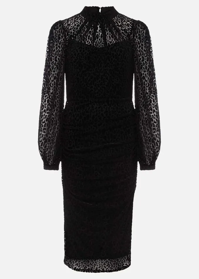 Women Phase Eight Occasion Dresses Capriana Leopard Burnout Dress Black