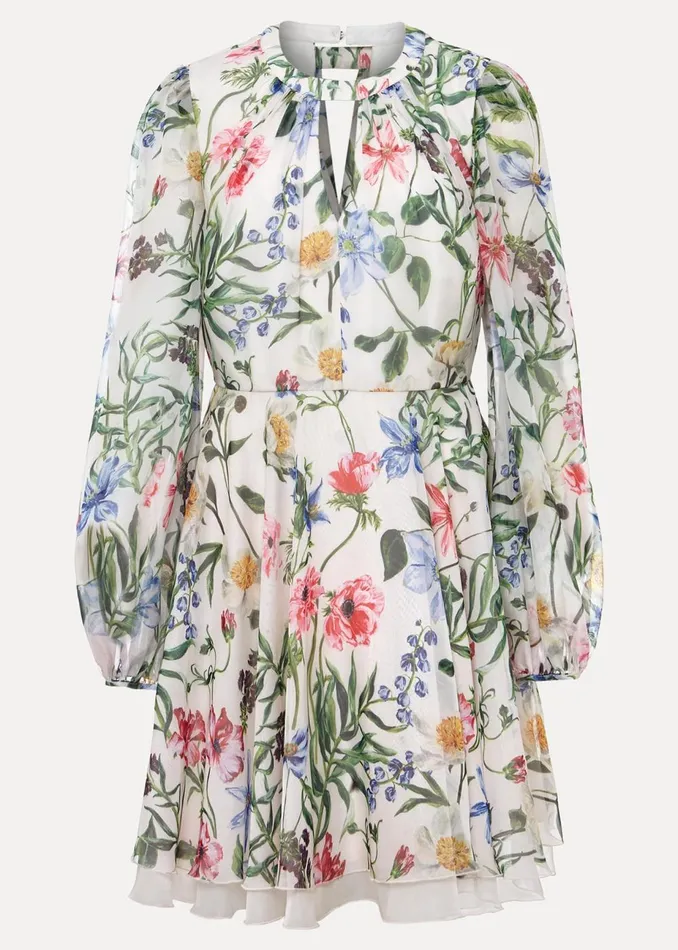 Women Phase Eight Occasion Dresses Everleigh Chiffon Floral Mini Dress Ivorymulti