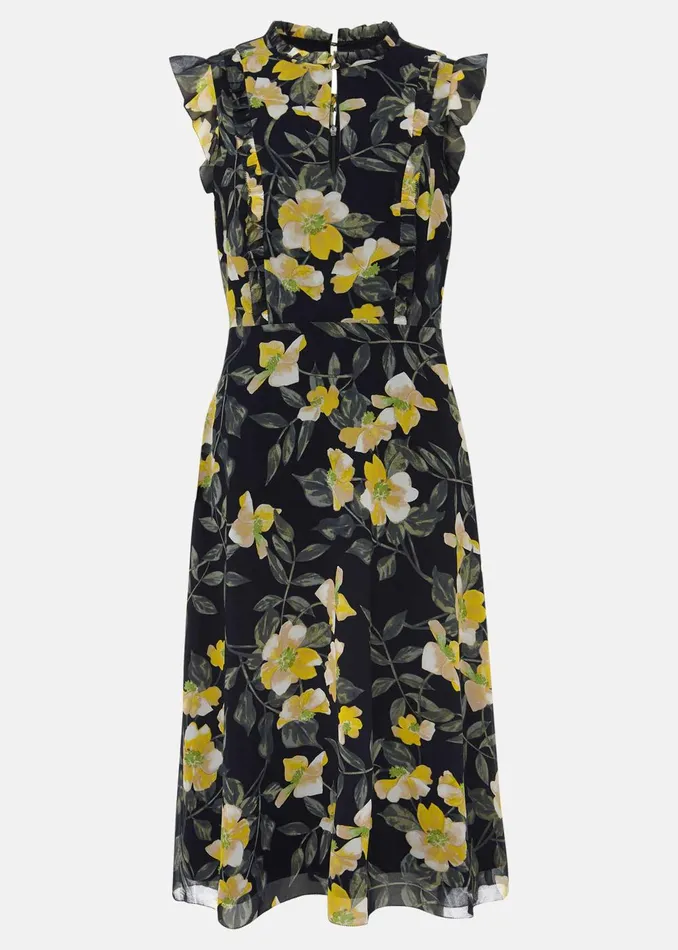 Women Phase Eight Occasion Dresses Evie Floral Dress Navymulti