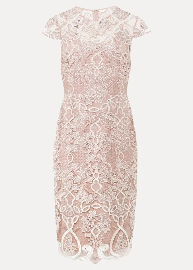 Women Phase Eight Occasion Dresses Francis Tapework Midi Dress Petal