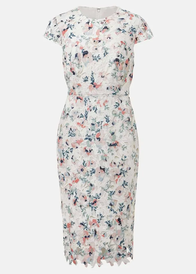 Women Phase Eight Occasion Dresses Franky Floral Lace Dress Ivorymulti