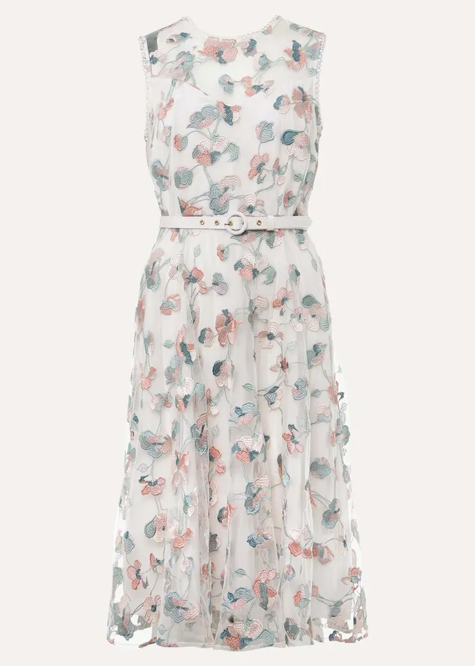 Women Phase Eight Occasion Dresses Leighton Floral Embroidered Midi Dress Pale Petal Multi