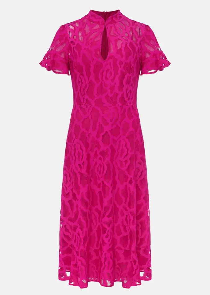 Women Phase Eight Occasion Dresses Lulu Lace Midi Dress Magenta Pink