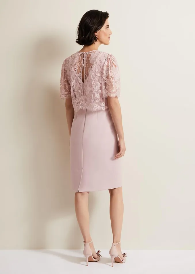 Women Phase Eight Occasion Dresses Lynette Lace Double Layer Dress Pale Pink