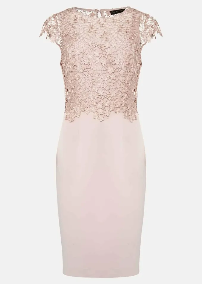 Women Phase Eight Occasion Dresses Mariposa Floral Lace Bodice Dress Antique Rose