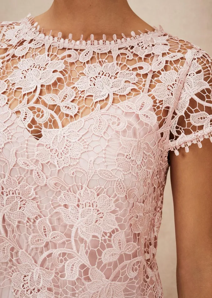 Women Phase Eight Occasion Dresses Michelle Lace Pleat Maxi Dress Antique Rose