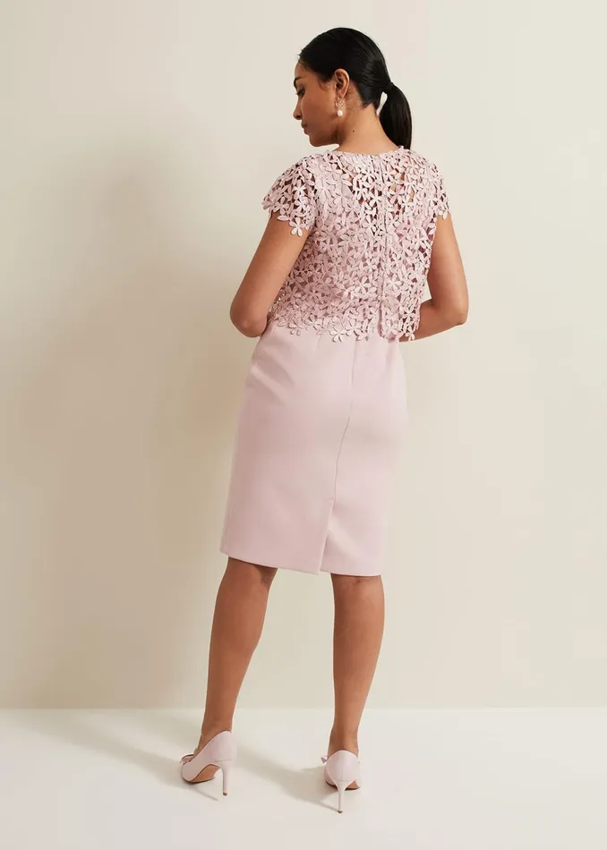 Women Phase Eight Occasion Dresses Petite Daisy Lace Midi Dress Pale Pink