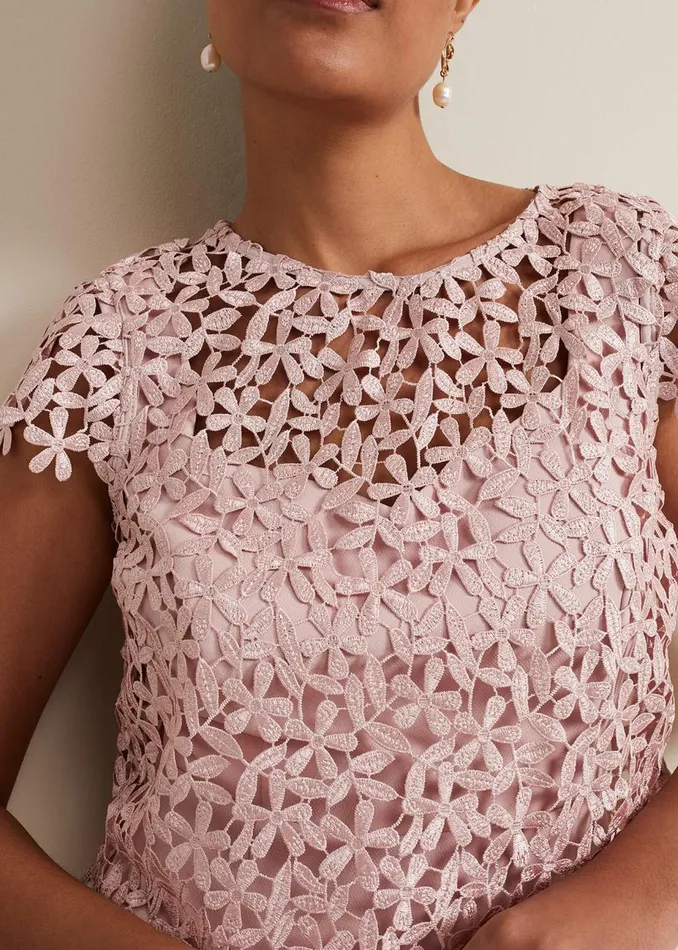 Women Phase Eight Occasion Dresses Petite Daisy Lace Midi Dress Pale Pink