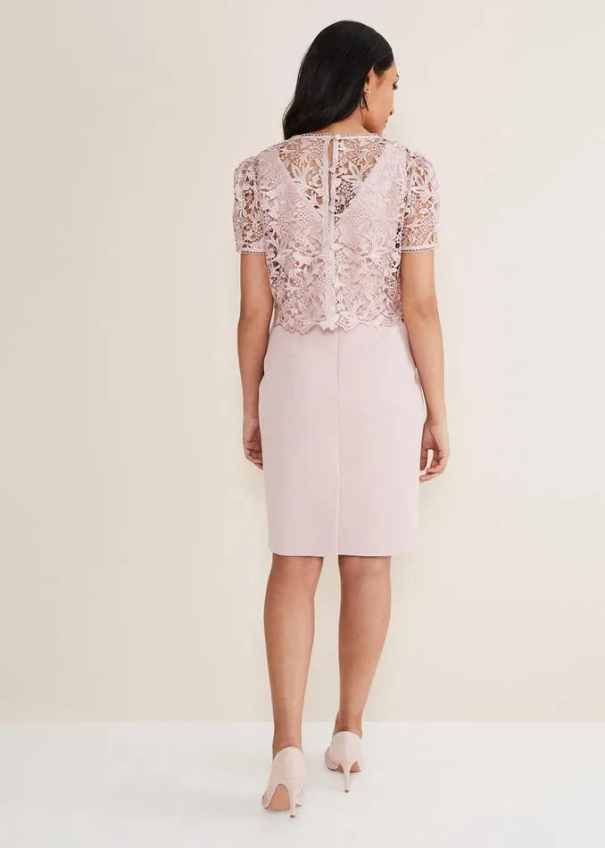 Women Phase Eight Occasion Dresses Petite Isabella Lace Midi Dress Antique Rose