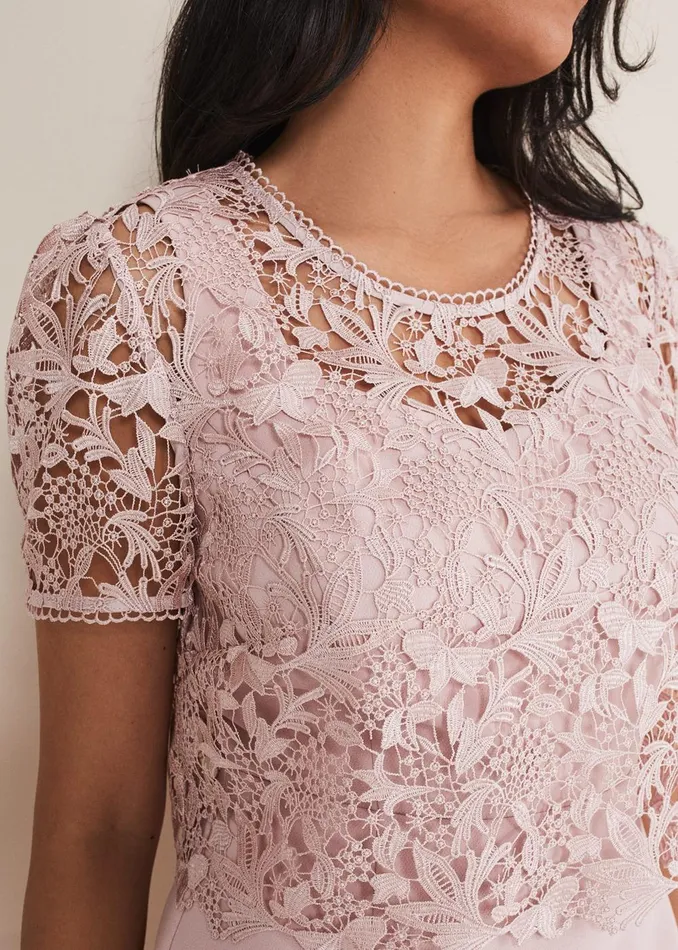Women Phase Eight Occasion Dresses Petite Isabella Lace Midi Dress Antique Rose
