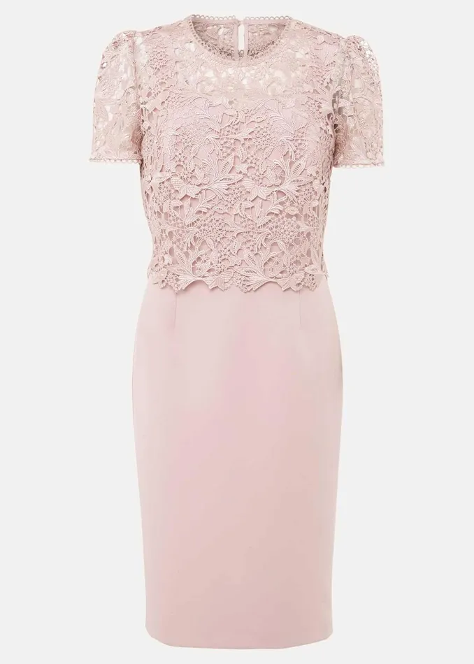 Women Phase Eight Occasion Dresses Petite Isabella Lace Midi Dress Antique Rose